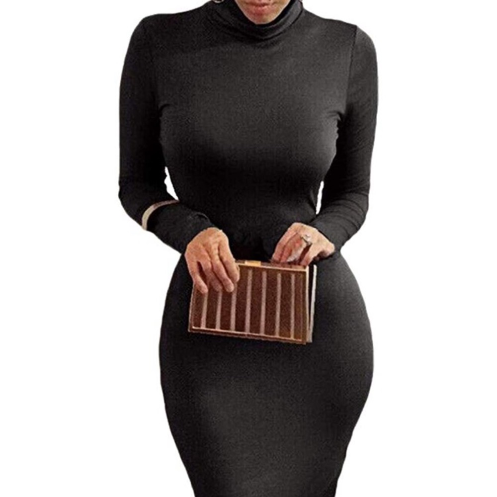 Bodycon Turtleneck Dress